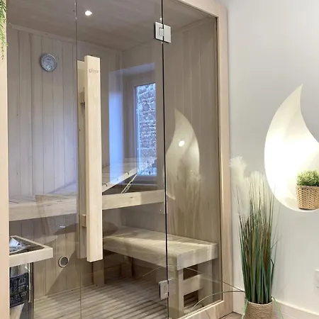 Duplex Sauna Cinema * Riom