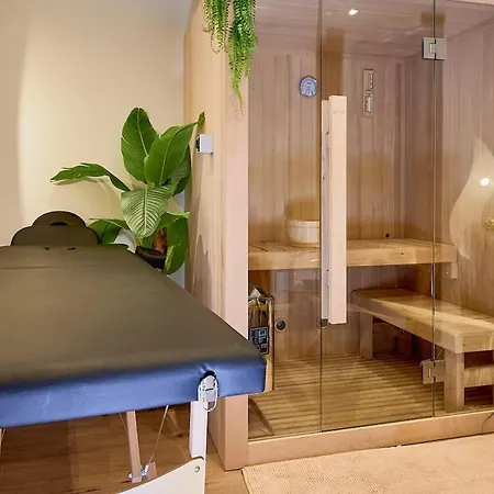 Duplex Sauna Cinema Riom